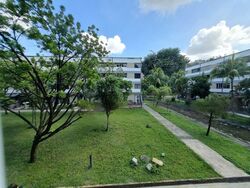 Dunearn Road (D11), Condominium #498850111
